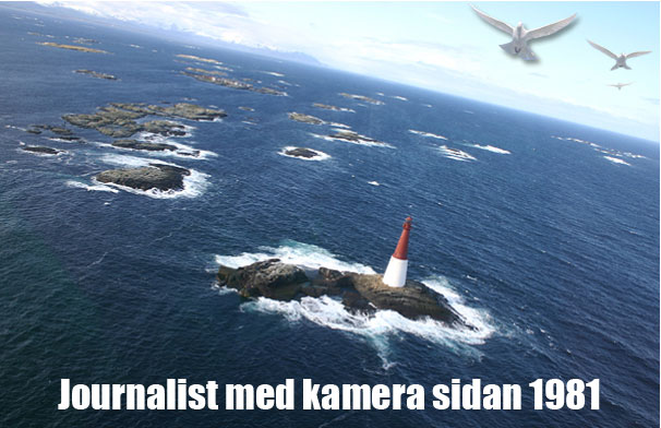 Journalist med kamera 